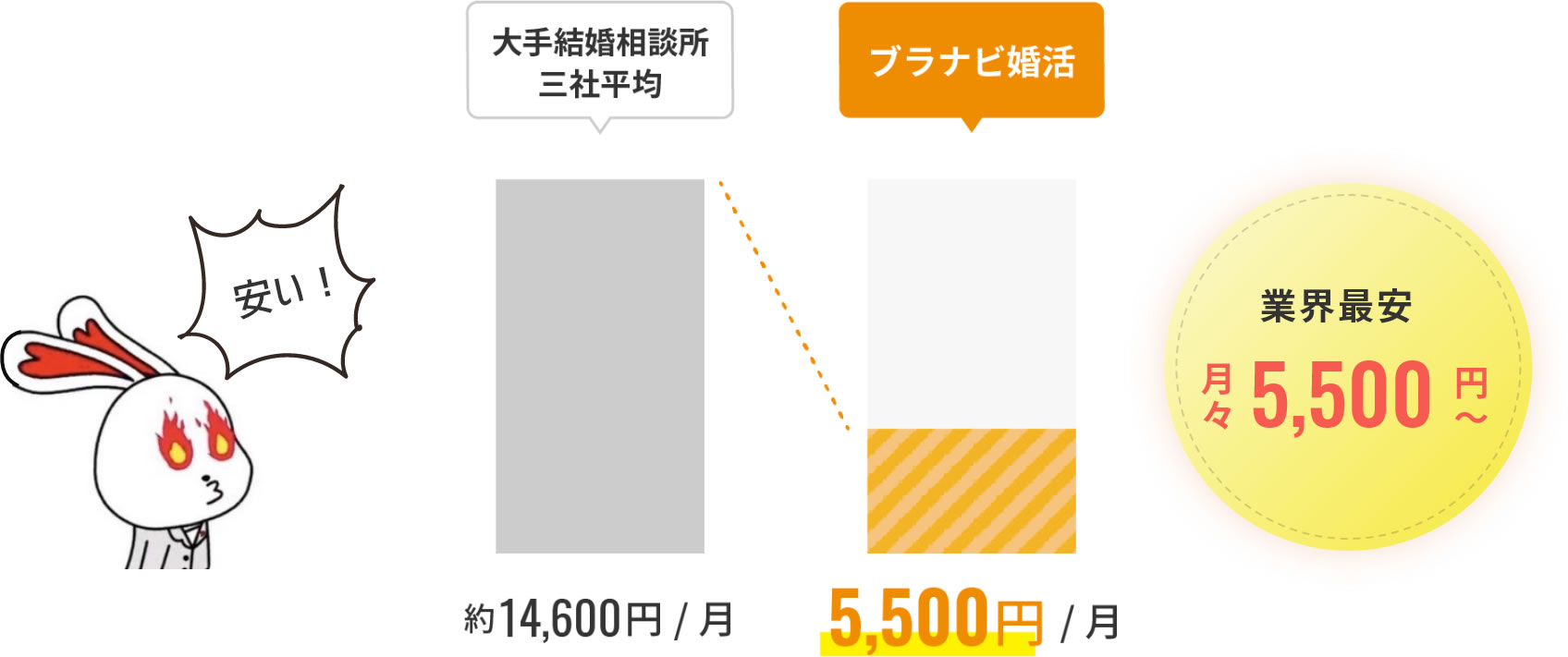 業界最安 月々 5,500 円～